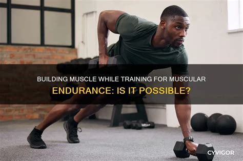 building muscle  training  muscular endurance