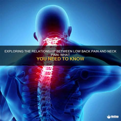 Exploring The Relationship Between Low Back Pain And Neck Pain What