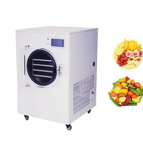 Home Mini Fruit Vacuum Lyophilizer Freeze Dryer Machine Food Drying