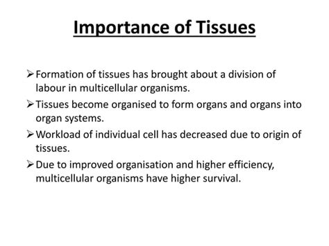 Tissues Chapter 6 Class 9 Ppt