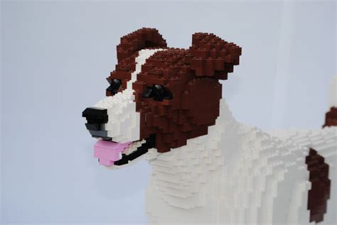 10 Of Our Favourite Dog-Shaped LEGO MOCs – – Dog – BuzzSharer.com Forum