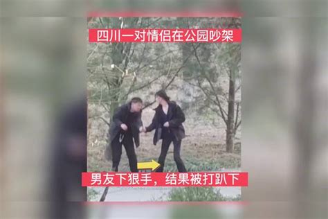 网友在公园内，拍摄到一对情侣从争吵变成打架，结果男友被女友ko