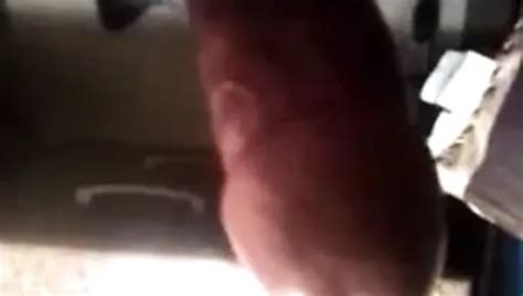 Yup Free Solo Man Porn Video XHamster