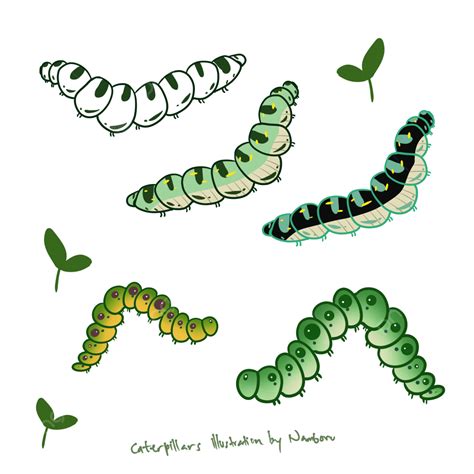 Caterpillar Ulat Bulu Caterpillar Illustration Ulat Png Transparent