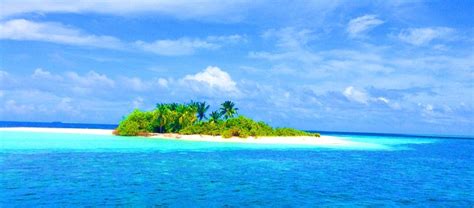 Free photo: Maldives, Beach, Island, Holiday - Free Image on Pixabay ...