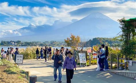 Fr N Tokyo Mt Fuji Sightseeing Privat Dagstur Med Bil Getyourguide