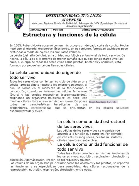 Guia Sobre La Celula Con Actividades Citoplasma Biología Celular