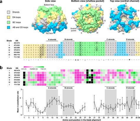 Structural Organization Of Amino Acid Conservation Across K Krep A