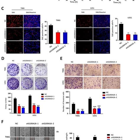 S A Expression Levels In Glioma And Relationship With Overall