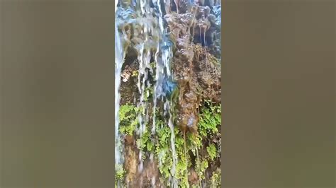 Trickling Water Sounds Beautiful Water Flowing Nature Shorts