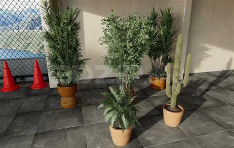 11679. Free 3Ds Max Plants Models Download