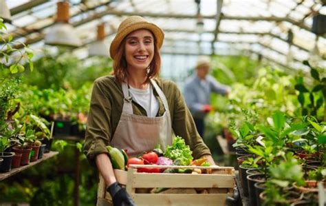 Devenir maraîcher compétences missions et salaire 2025