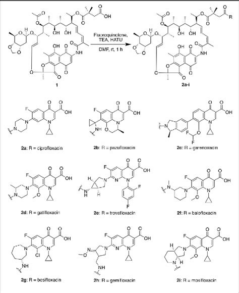 Figure From Synthesis And Evaluation Of Dual Action Kanglemycin