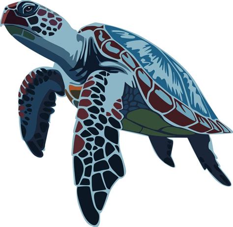 Premium Vector Graphic Sea Turtle Vector Illustration Of Sea Turtle