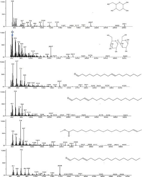 Gc Ms Spectrum Of The Extracted Biosurfactant Download Scientific