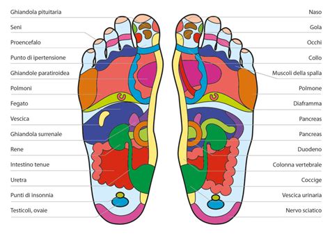 Le Mappe Della Riflessologia Plantare Benessere News