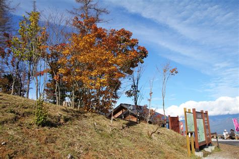 紅葉が進んでいます！ 富士見パノラマリゾート 長野県富士見町