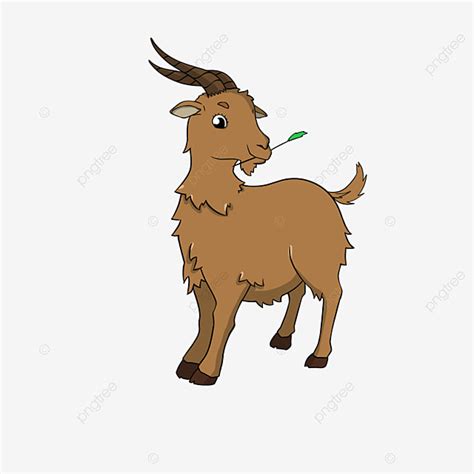 Goats Cartoon Clipart Transparent Background Cartoon Style Hand Drawn