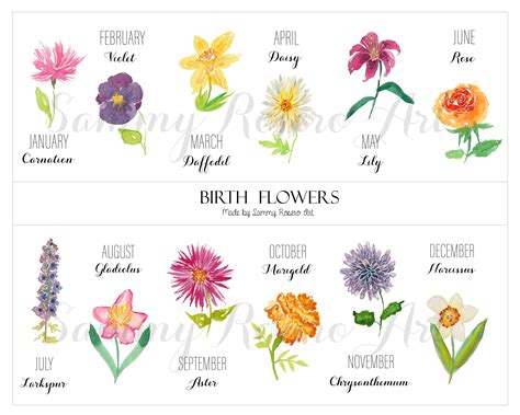 Watercolor Birth Flowers Digital Download Monthly (Download Now) - Etsy ...