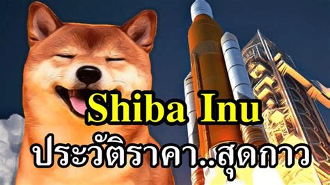 Scope Tv Shiba Inu