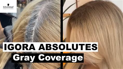 Tutorial From Brassy To Ashy Using Igora Royal Hair Dye Off