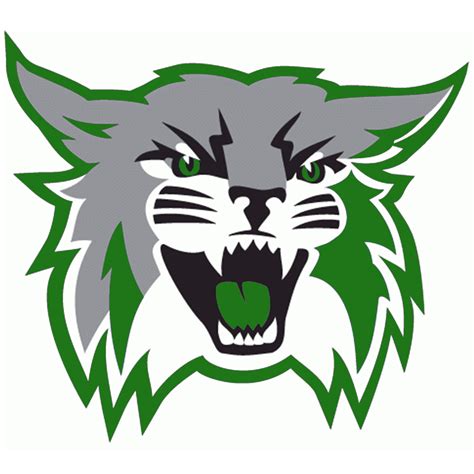 Walter Johnson Wildcats Boys Basketball (Bethesda, MD) - High School On SI