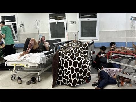 Oms Situazione Disperata E Pericolosa Negli Ospedali Di Gaza Youtube