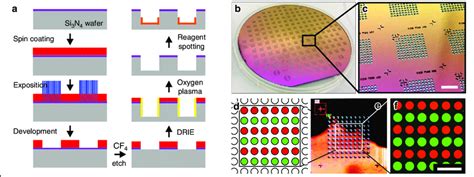 Silicon Microcavity Array Chip Fabrication And Reagent Spotting Into