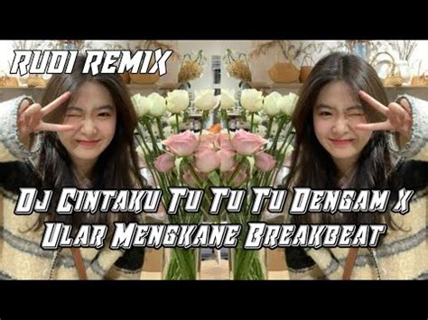 Dj Cintaku Tu Tu Tu Dengam X Ular Mengkane Breakbeat Dj Dayak Terbaru