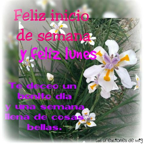 Feliz Inicio De Semana Y Feliz Lunes Te Deceo Un Bonito D A Y Una