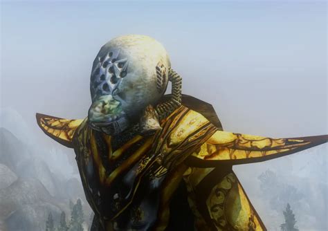 Helmets For Beasts At Morrowind Nexus Mods And Community