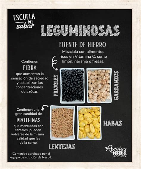 Todo Lo Que Necesitas Saber Sobre Las Leguminosas Ejemplos Y Beneficios