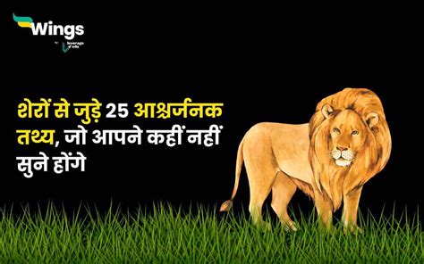 Facts About Lion : शेरों से जुड़े 25 आश्चर्जनक तथ्य, जो आपने कहीं नहीं सुने होंगे | Leverage Edu