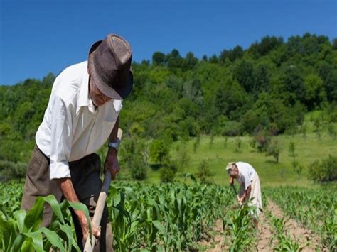 Aposentadoria Rural Em Como Funciona E Quem Tem Direito