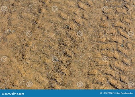 Tracce Dei Pneumatici Su Una Sabbia Nel Deserto Fotografia Stock