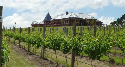 Winery Vineyard Australian Wine D Angelo Estate Wines