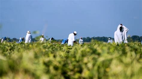 Angola for Life: Rehabilitation and Reform in the Louisiana State ...