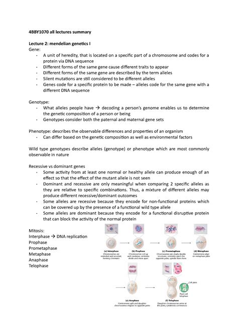 4BBY1070 All Lectures Summary 4BBY1070 All Lectures Summary Lecture 2