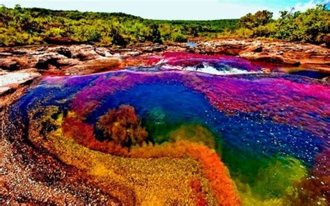 Caño Cristales: Colombia's Rainbow River - Unusual Places