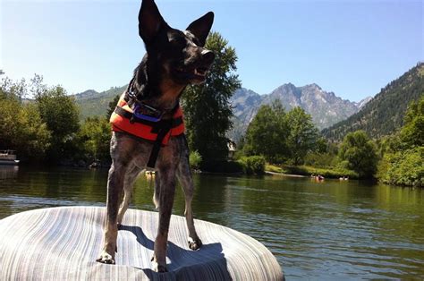 Leavenworth: Leavenworth Outdoor Center | Pet Friendly Travel