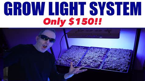 Led Grow Light Set Up Fast Cheap And Easy Youtube