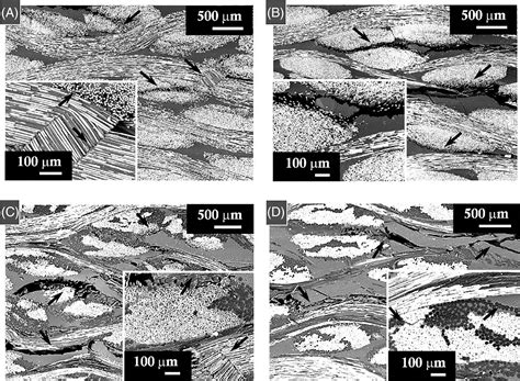 Intralaminar Toughening Mechanisms To Enhance Impact Damage Tolerance