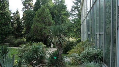 Der Botanische Garten Weihnachten Im Elsass