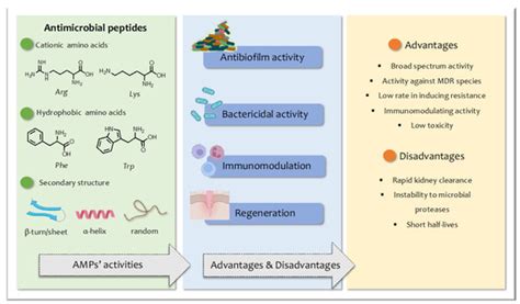 Pharmaceuticals Free Full Text Glycosylation And Lipidation