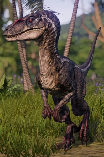 Velociraptor Jurassic World Evolution Wiki Fandom