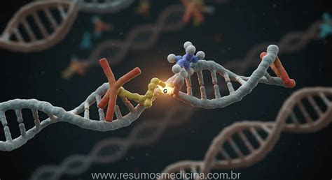 Anti Dna Dupla Helice Ou Nativo - Autoanticorpos no Lúpus (LES): O Guia Definitivo sobre Anti-DNA e Anti ...