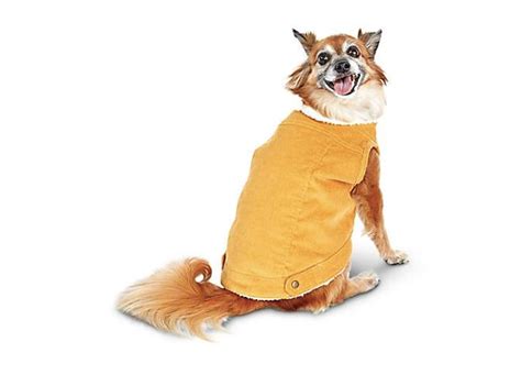 Trendy Fall Dog Sweaters - PureWow