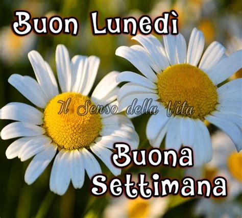 Buongiorno E Buon Luned Maggio Immagini Gratis