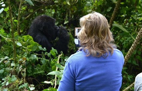 Gorilla Trekking Rules and Regulations in Rwanda | Rwanda Gorilla Tours