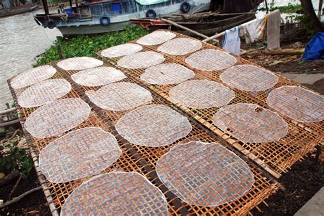 Papel De Arroz De Secagem No Delta De Mekong Em Vietnam E Em Dois